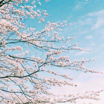 AG官方平台下载