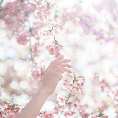 AG官方平台下载截图